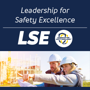 Leadership for Safety Excellence (LSE) (IP)