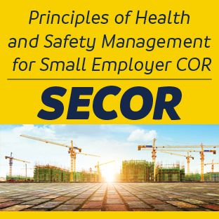 Principles of Health and Safety Management for Small Employer COR™ (PHSM for SECOR™) (VILT)